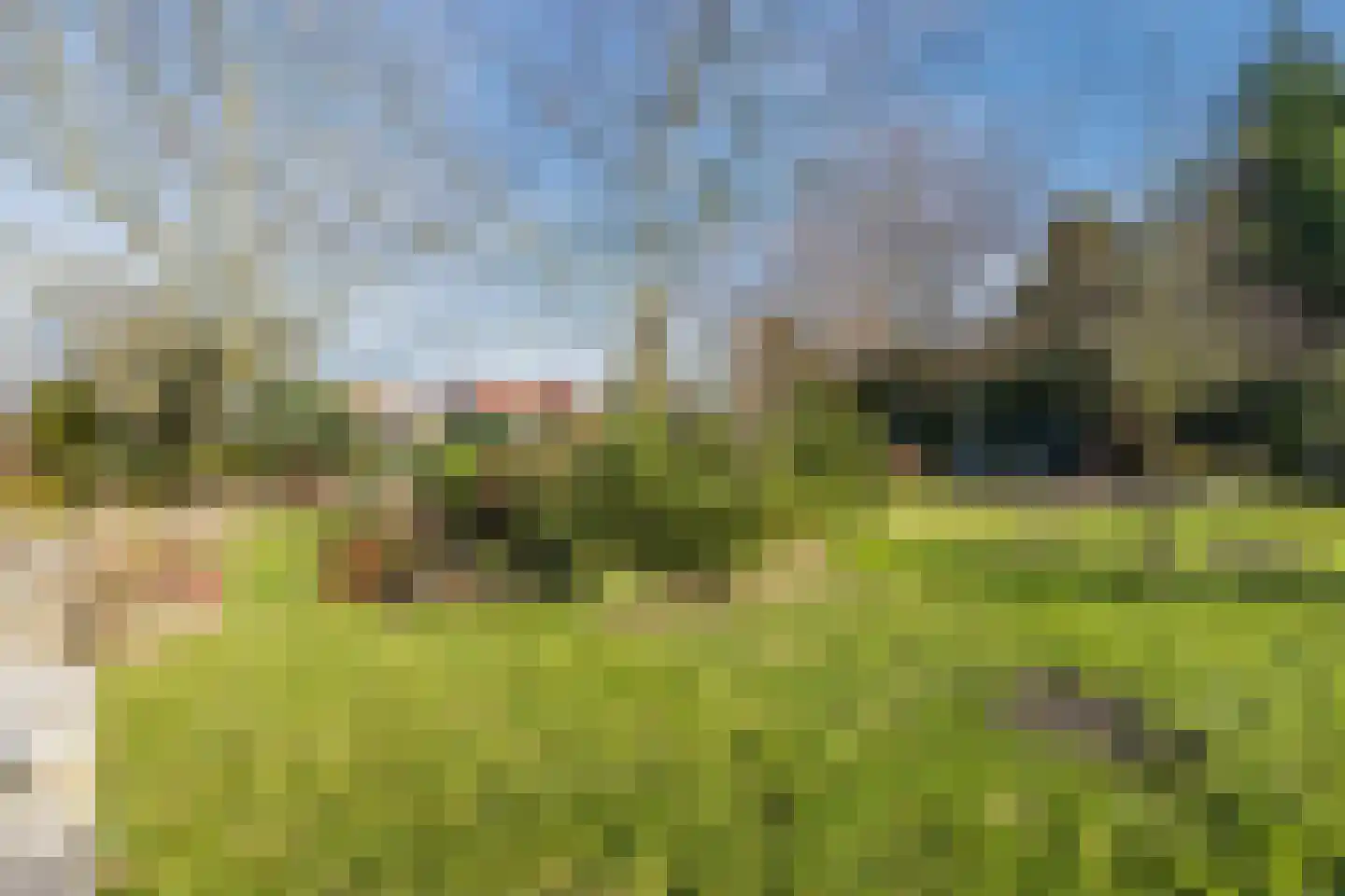 Zandstraat 97 Sas van Gent thumbnail 38