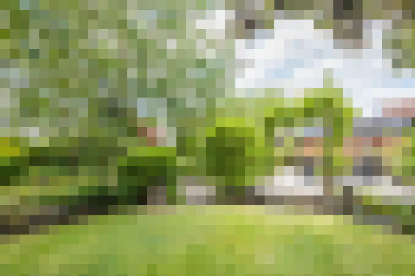 Zandstraat 97 Sas van Gent thumbnail 38