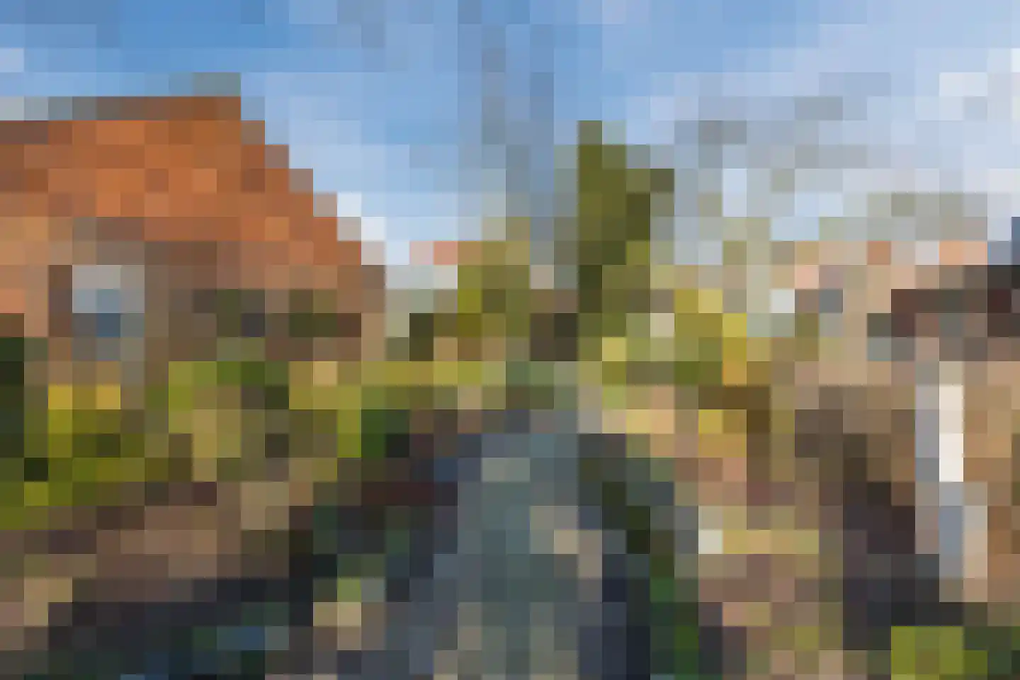 Zandstraat 97 Sas van Gent thumbnail 39
