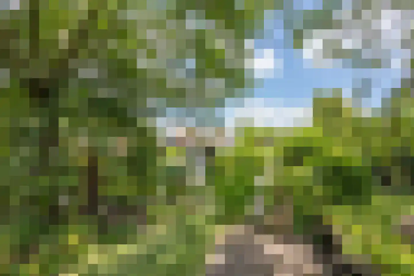 Zandstraat 97 Sas van Gent thumbnail 39