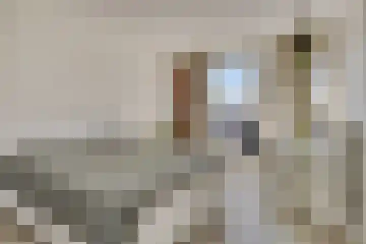 Zandstrand 12 Eindhoven thumbnail 21