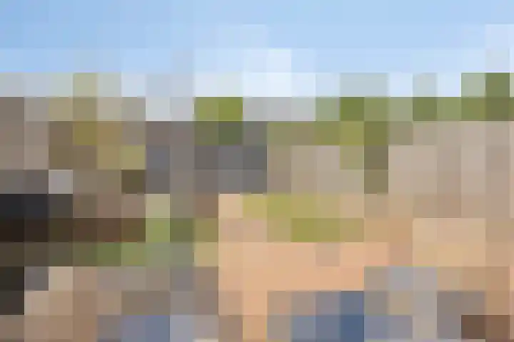 Zandstrand 12 Eindhoven thumbnail 23