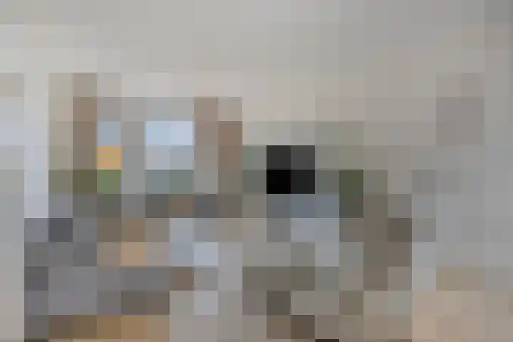Zandstrand 12 Eindhoven thumbnail 6