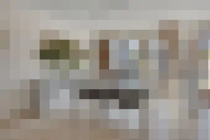 Zandstrand 12 Eindhoven thumbnail 7