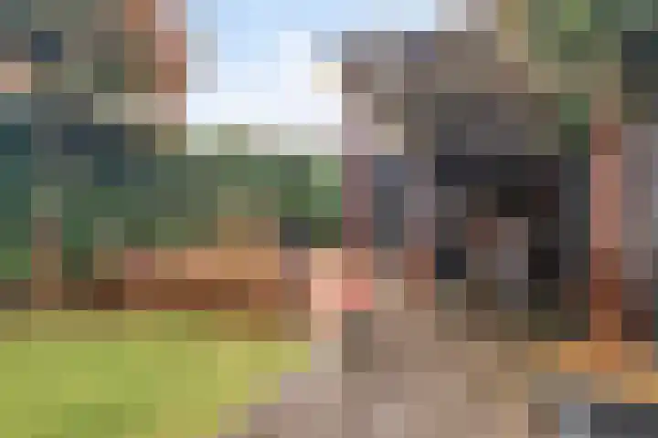 Zandstrand 20 Eindhoven thumbnail 39