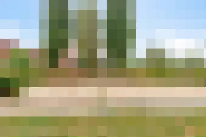 Zandstrand 20 Eindhoven thumbnail 45