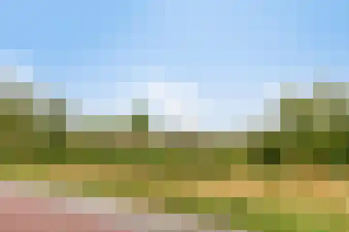 Zandstrand 20 Eindhoven thumbnail 46