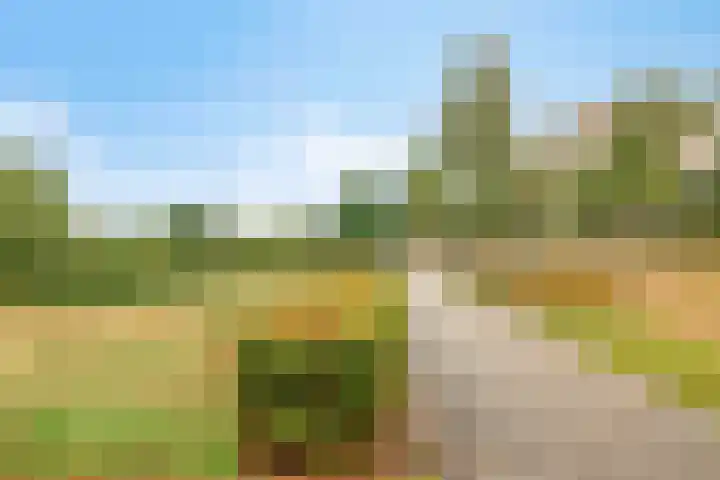 Zandstrand 20 Eindhoven thumbnail 47
