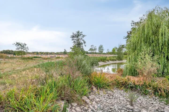Zandstrand 26 Eindhoven thumbnail 44