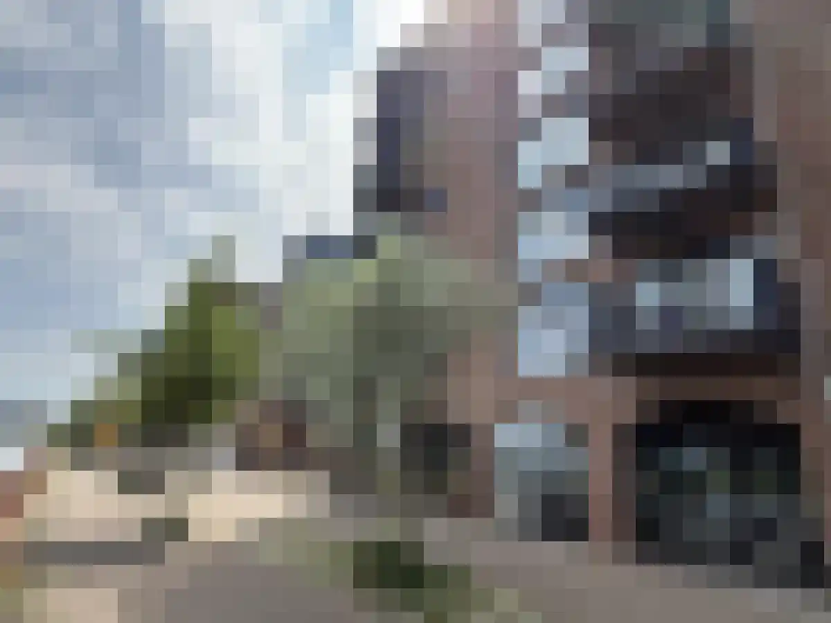 Zandstrooierstraat 103 Amsterdam thumbnail 6