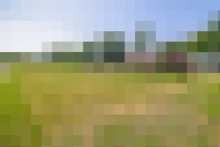 Zandstroom A 15 Blijham thumbnail 11