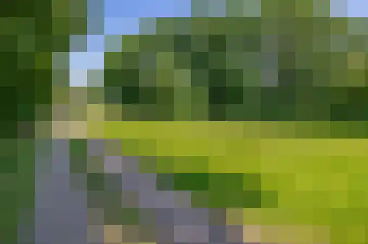 Zandstroom A 15 Blijham thumbnail 36