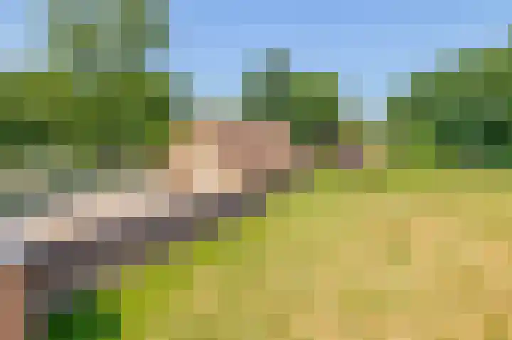 Zandstroom A 15 Blijham thumbnail 37