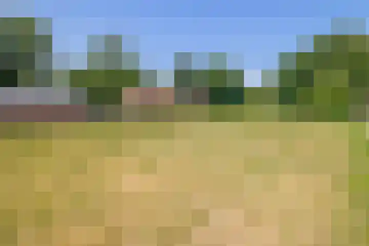 Zandstroom A 15 Blijham thumbnail 38