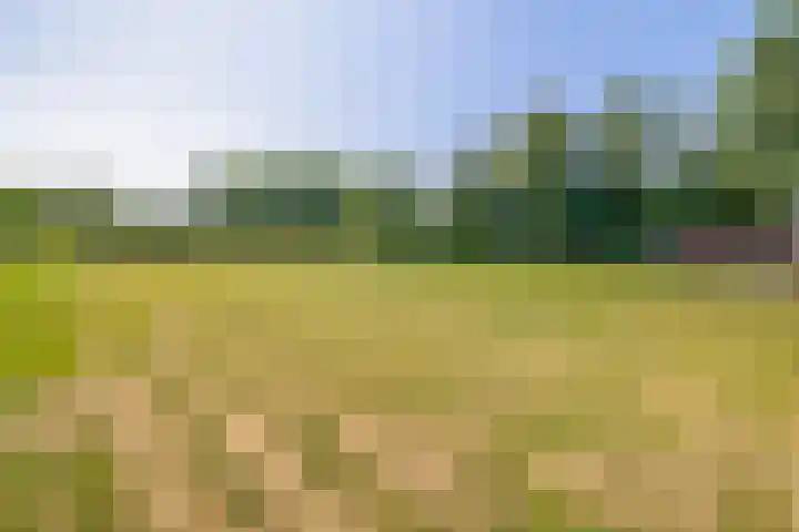 Zandstroom A 15 Blijham thumbnail 39