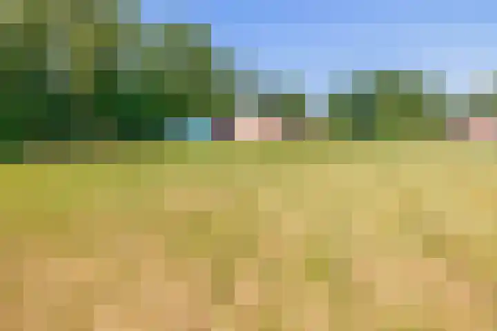 Zandstroom A 15 Blijham thumbnail 40