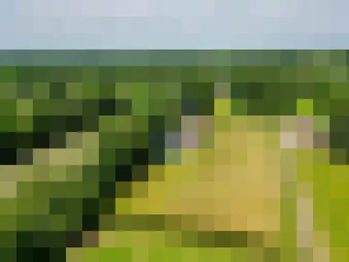 Zandstroom A 15 Blijham thumbnail 47