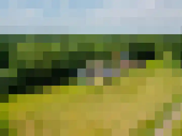 Zandstroom A 15 Blijham thumbnail 48