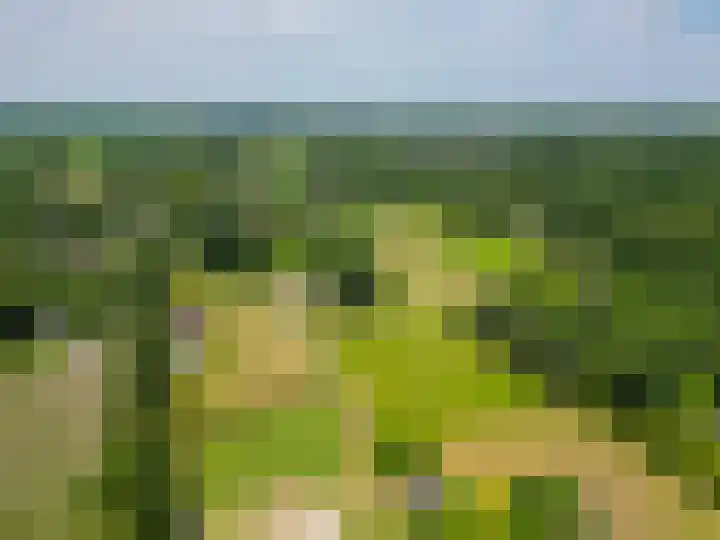 Zandstroom A 15 Blijham thumbnail 50