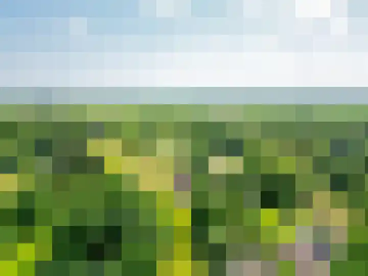 Zandstroom A 15 Blijham thumbnail 52