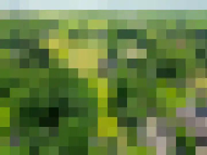 Zandstroom A 15 Blijham thumbnail 53