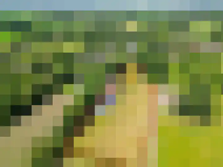 Zandstroom A 15 Blijham thumbnail 6