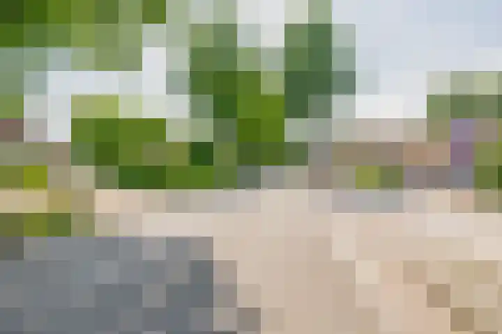 Zandstroom A 15 Blijham thumbnail 7