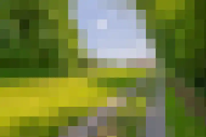 Zandstroom A 15 Blijham thumbnail 8