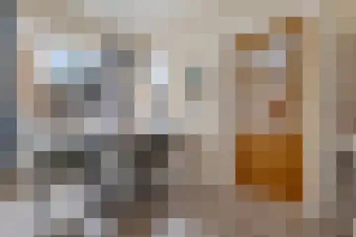 Zandtangerweg 1 B Mussel thumbnail 14
