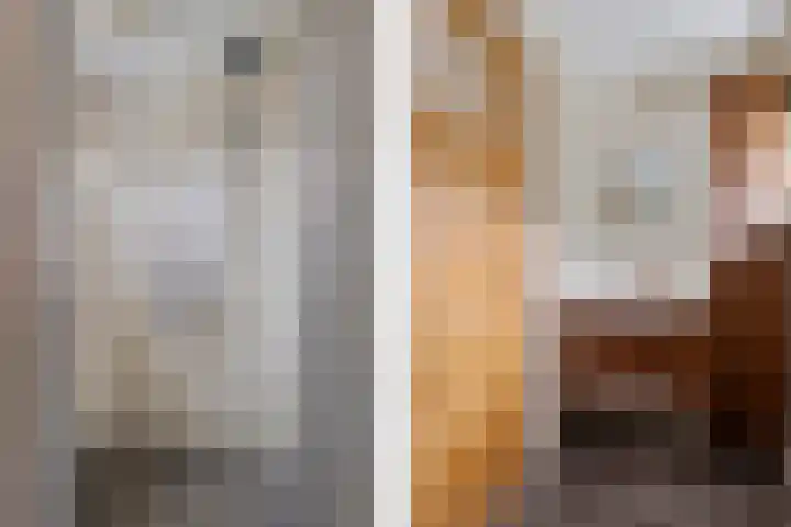 Zandtangerweg 1 B Mussel thumbnail 18