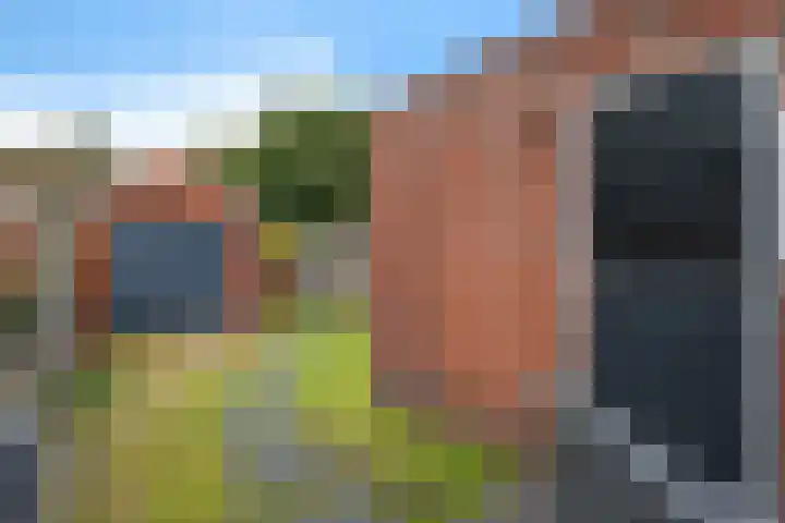 Zandtangerweg 1 B Mussel thumbnail 27