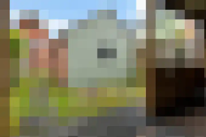 Zandtangerweg 1 B Mussel thumbnail 31
