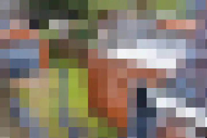 Zandtangerweg 1 B Mussel thumbnail 38