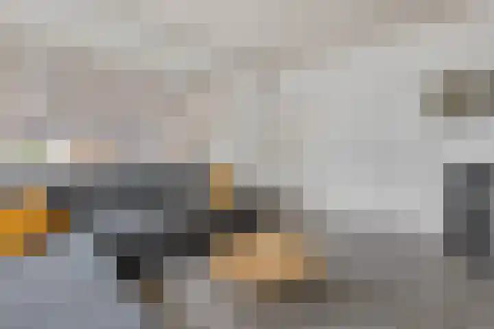 Zandtangerweg 1 B Mussel thumbnail 8