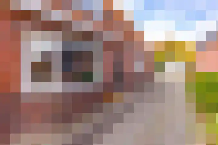 Zandtangerweg 15 Mussel thumbnail 10