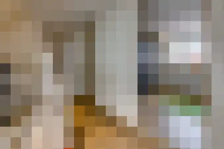 Zandtangerweg 15 Mussel thumbnail 34