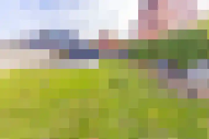 Zandtangerweg 15 Mussel thumbnail 5
