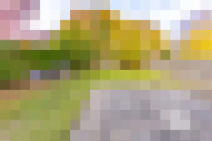 Zandtangerweg 15 Mussel thumbnail 51