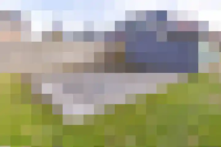 Zandtangerweg 15 Mussel thumbnail 52