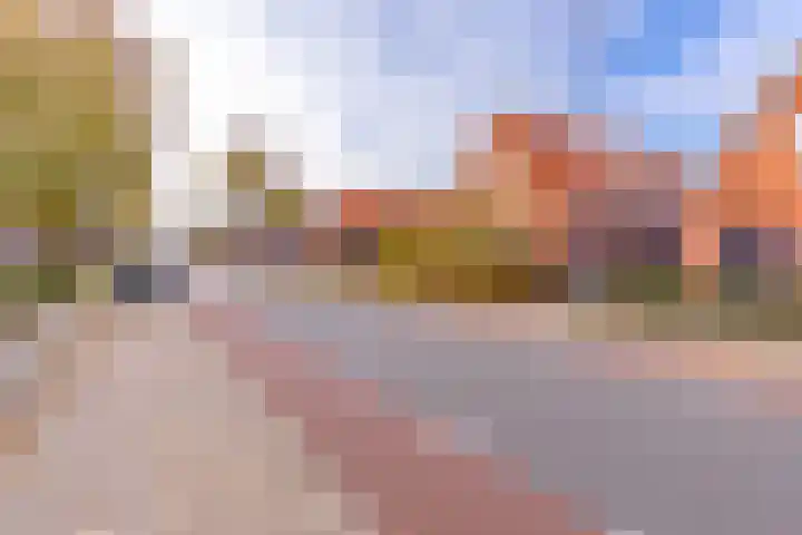 Zandtangerweg 15 Mussel thumbnail 8