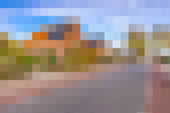 Zandtangerweg 15 Mussel thumbnail 9
