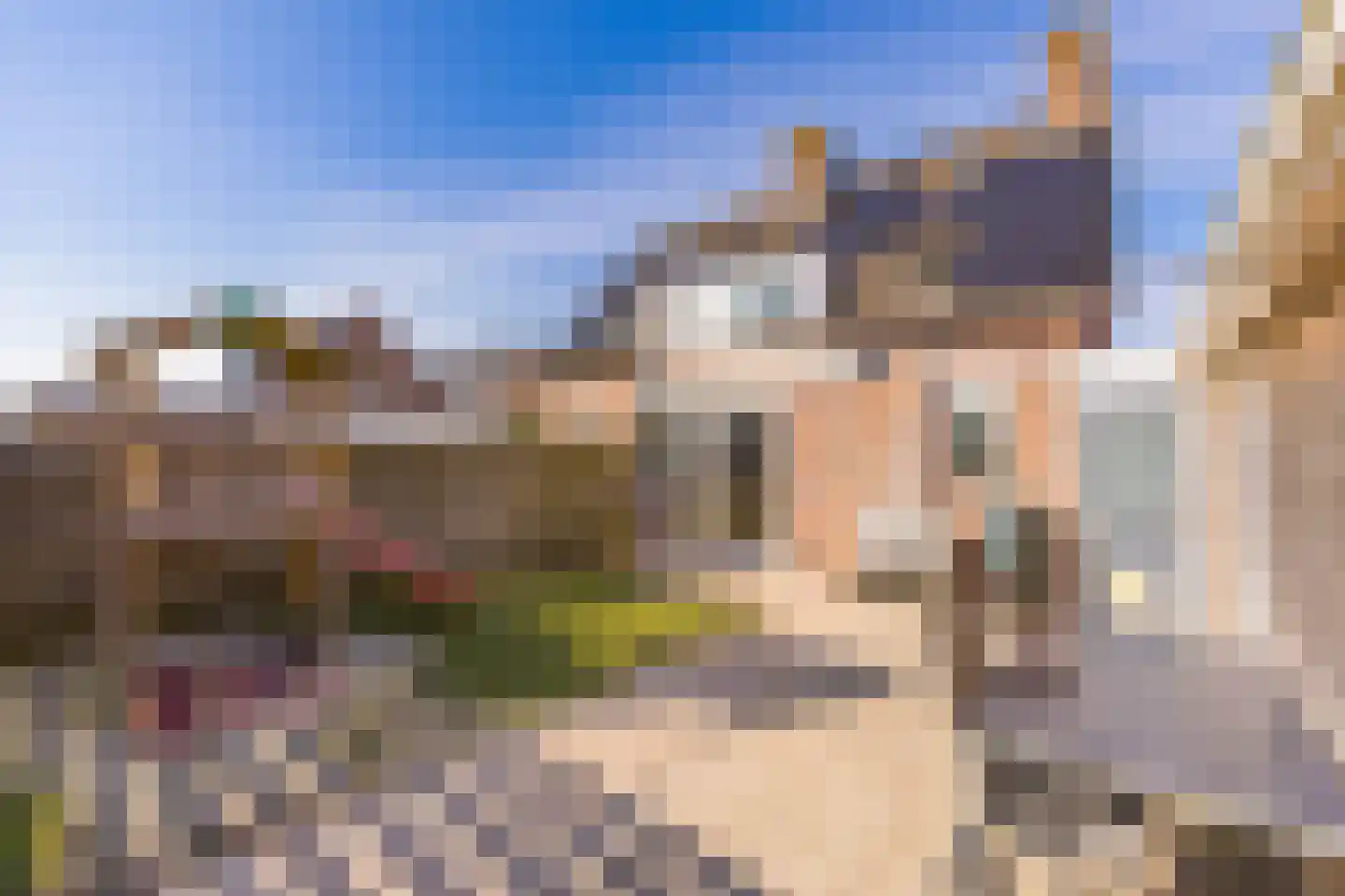 Zandtangerweg 2 A Mussel thumbnail 39