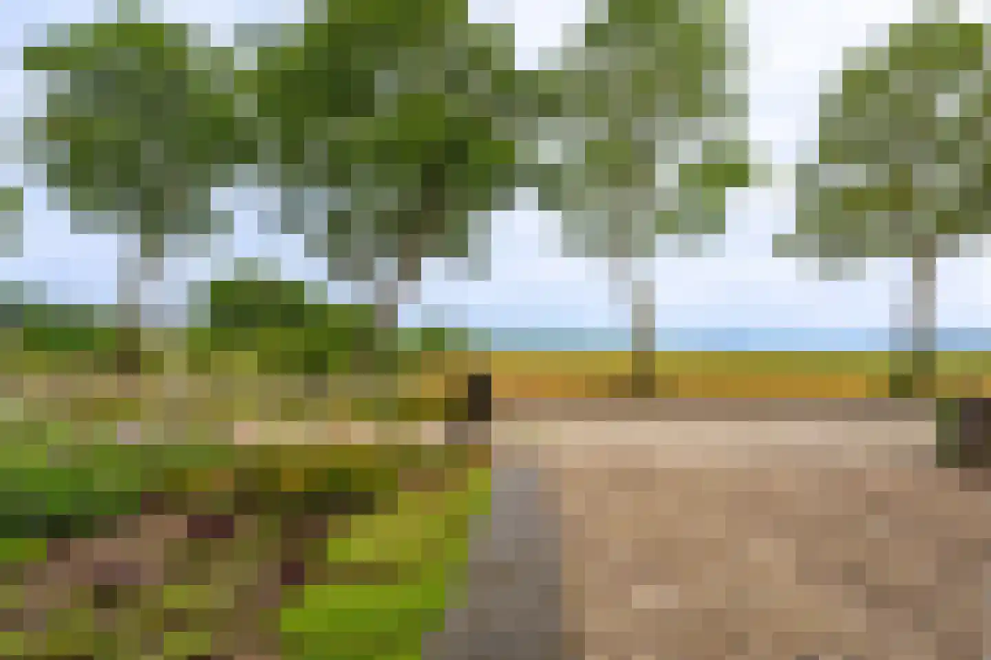 Zandtangerweg 86 Mussel thumbnail 10