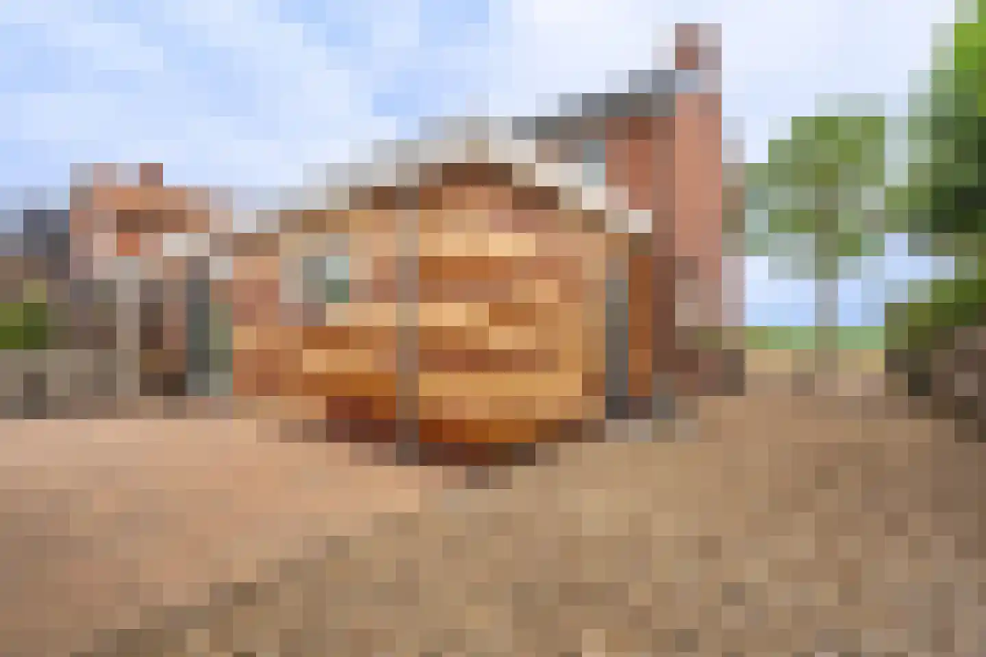 Zandtangerweg 86 Mussel thumbnail 12