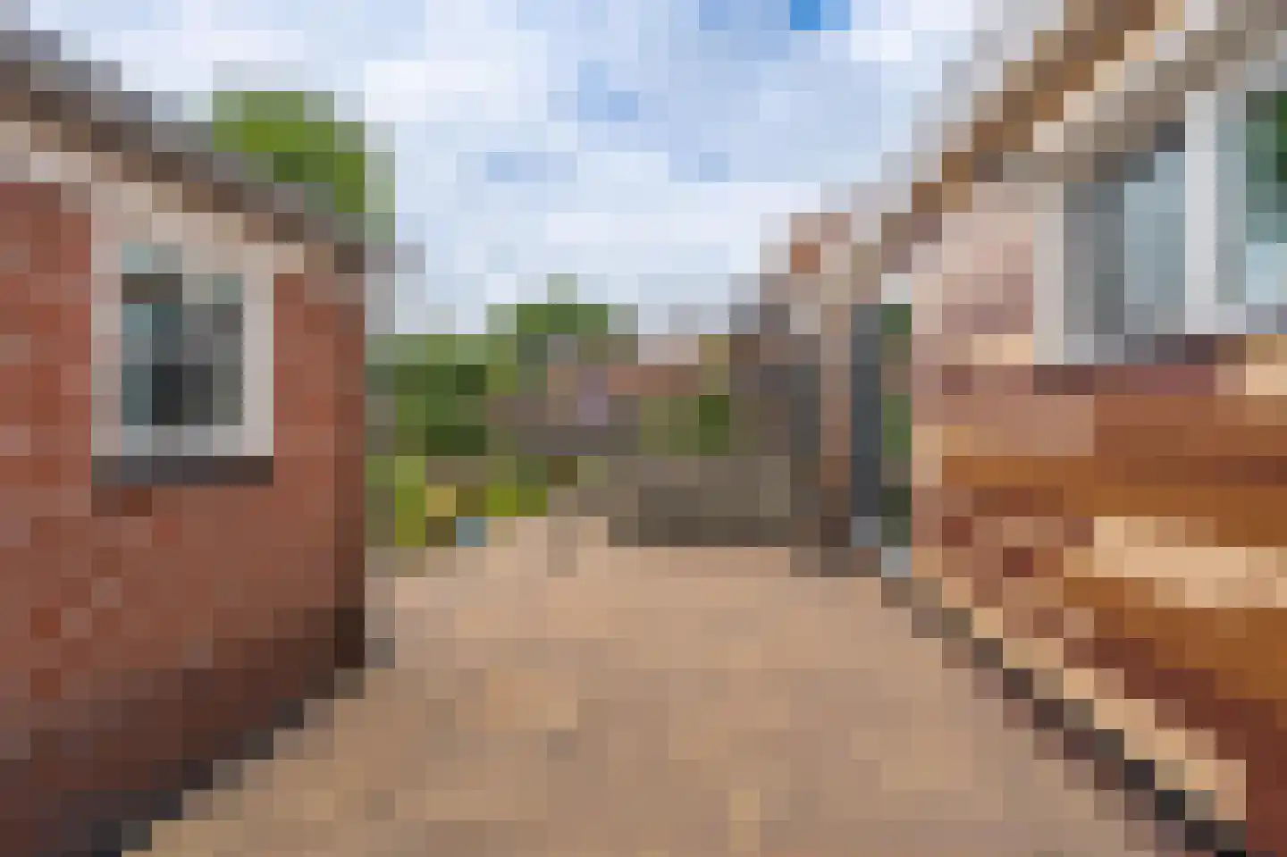 Zandtangerweg 86 Mussel thumbnail 13