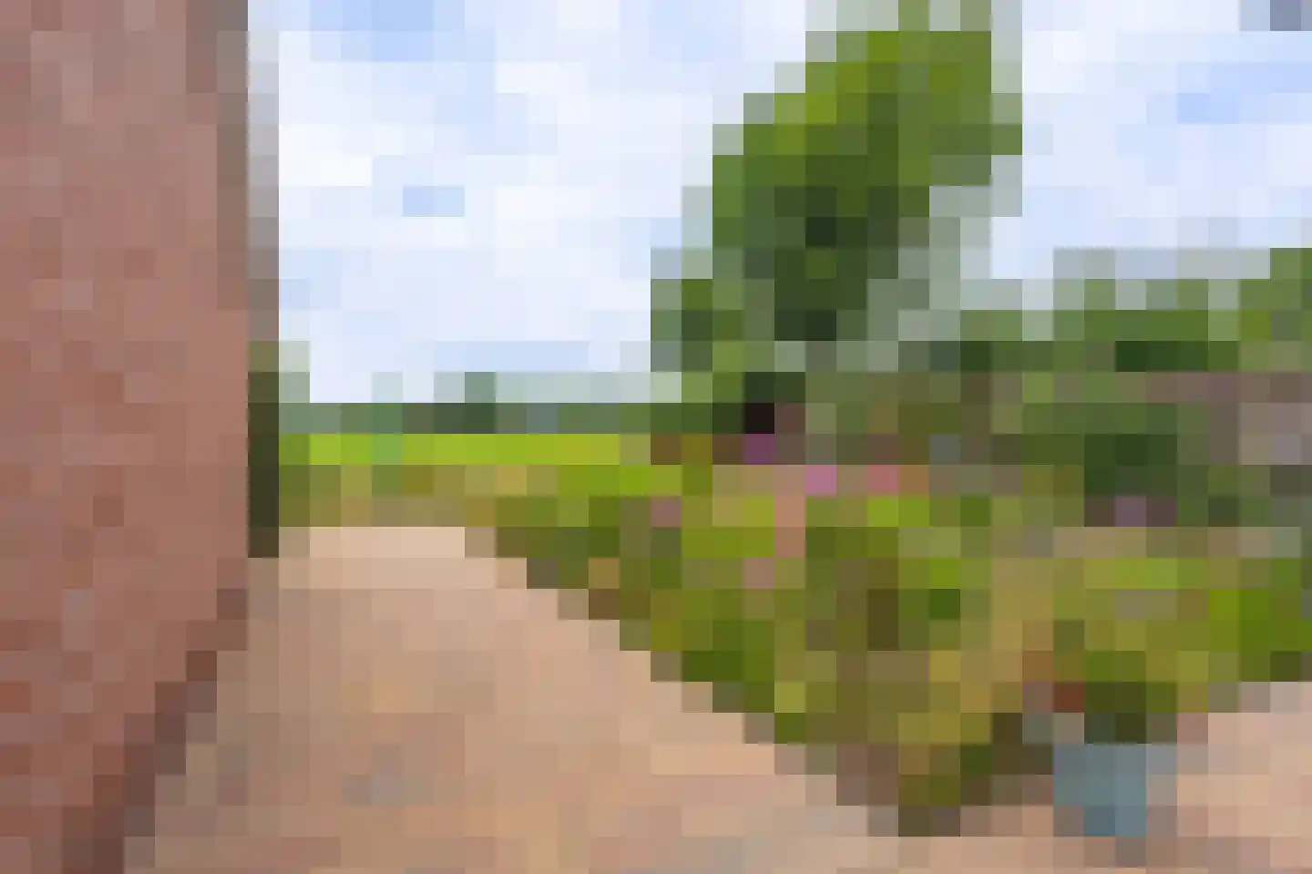 Zandtangerweg 86 Mussel thumbnail 14