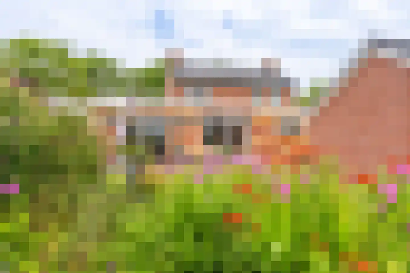 Zandtangerweg 86 Mussel thumbnail 16