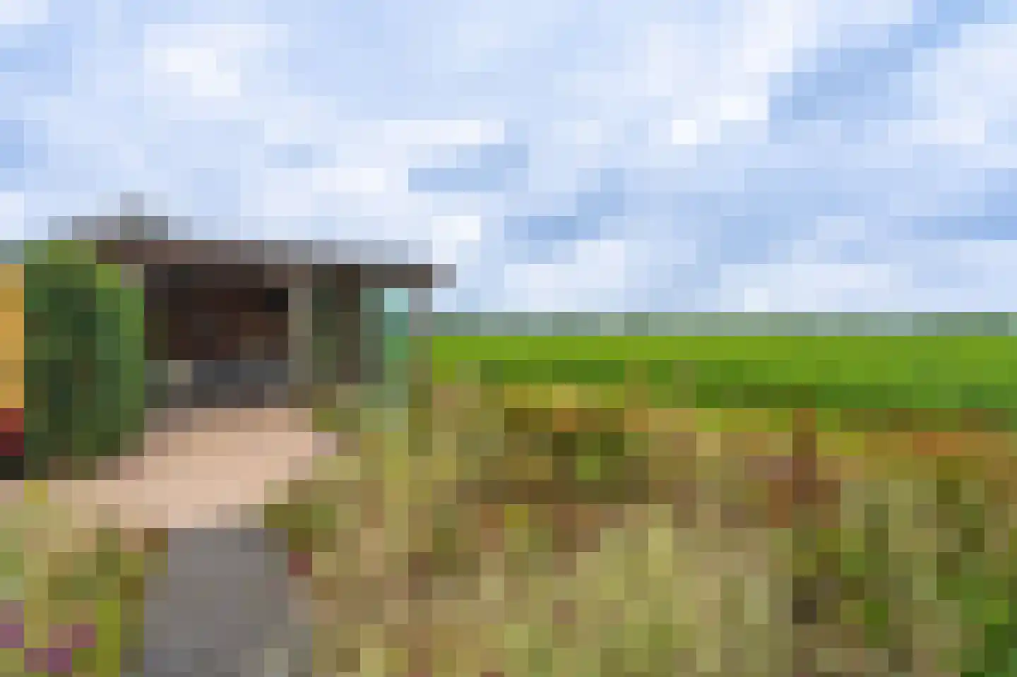 Zandtangerweg 86 Mussel thumbnail 17