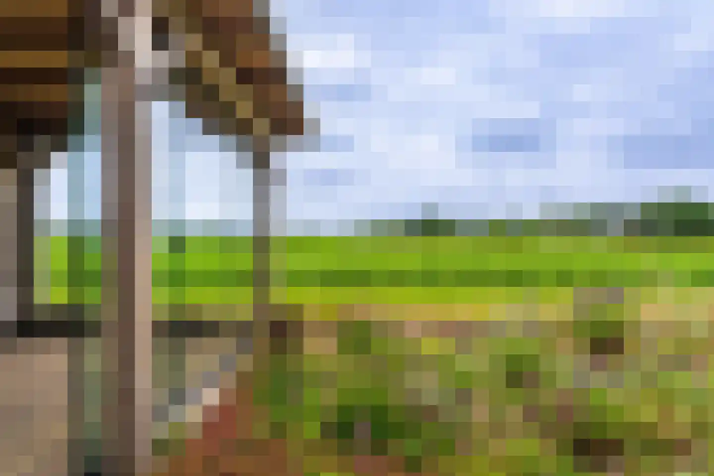 Zandtangerweg 86 Mussel thumbnail 19