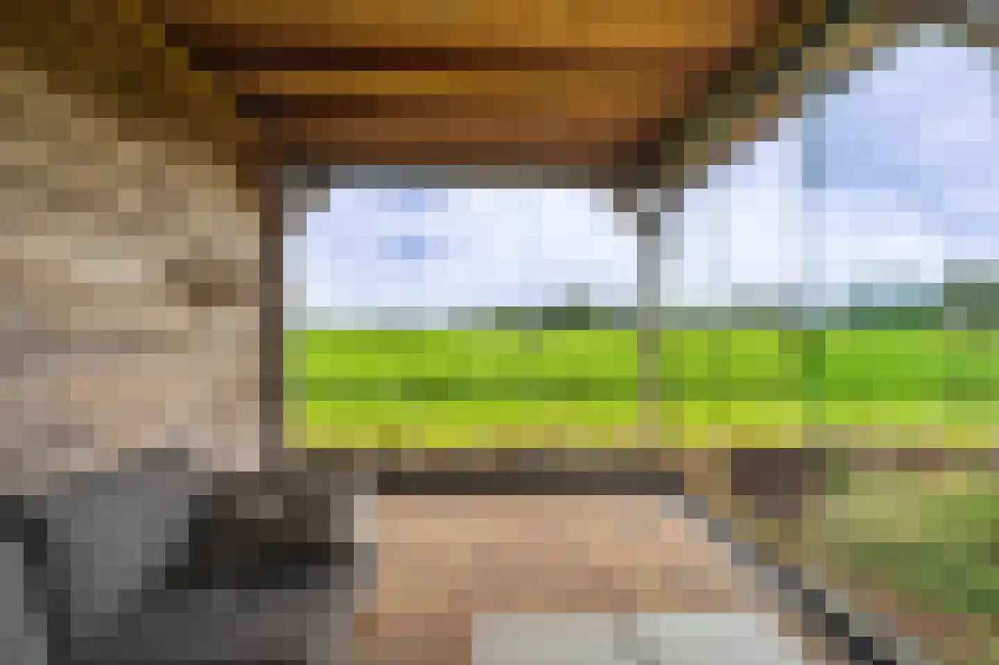 Zandtangerweg 86 Mussel thumbnail 20